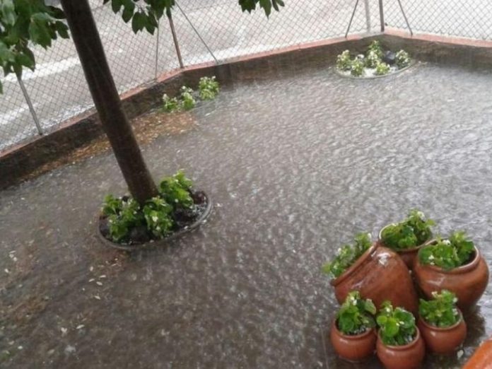 f850x638-292479_369968_5050