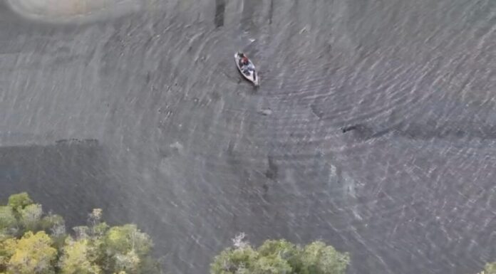 WhatsApp-Image-2026-01-06-at-8.41.44-AM-1068x591