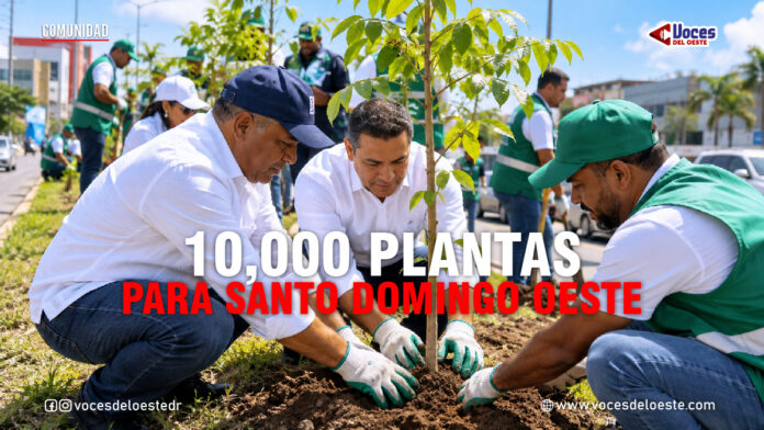 9 oct_c_0 Imagen ilustrativa de una jornada de arborización en Santo Domingo Oeste, con personas sembrando árboles